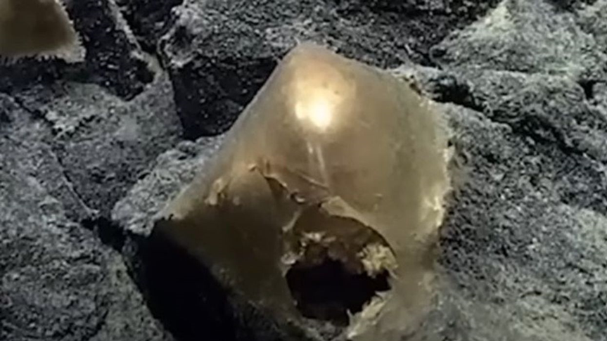 NOAA Ocean Exploration