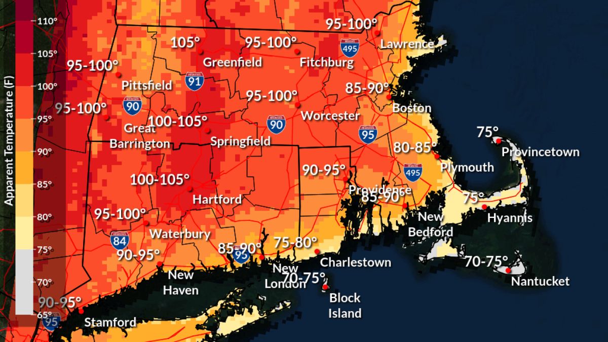 Untitled design 2024 06 15T124132.342