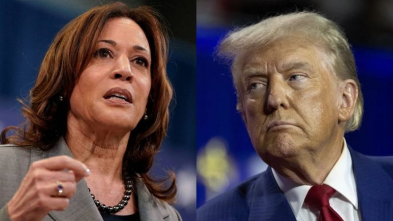 Vice President Kamala Harris (left) and former President Donald Trump (right). (Photo Credits: The Japan Times, NBC News)