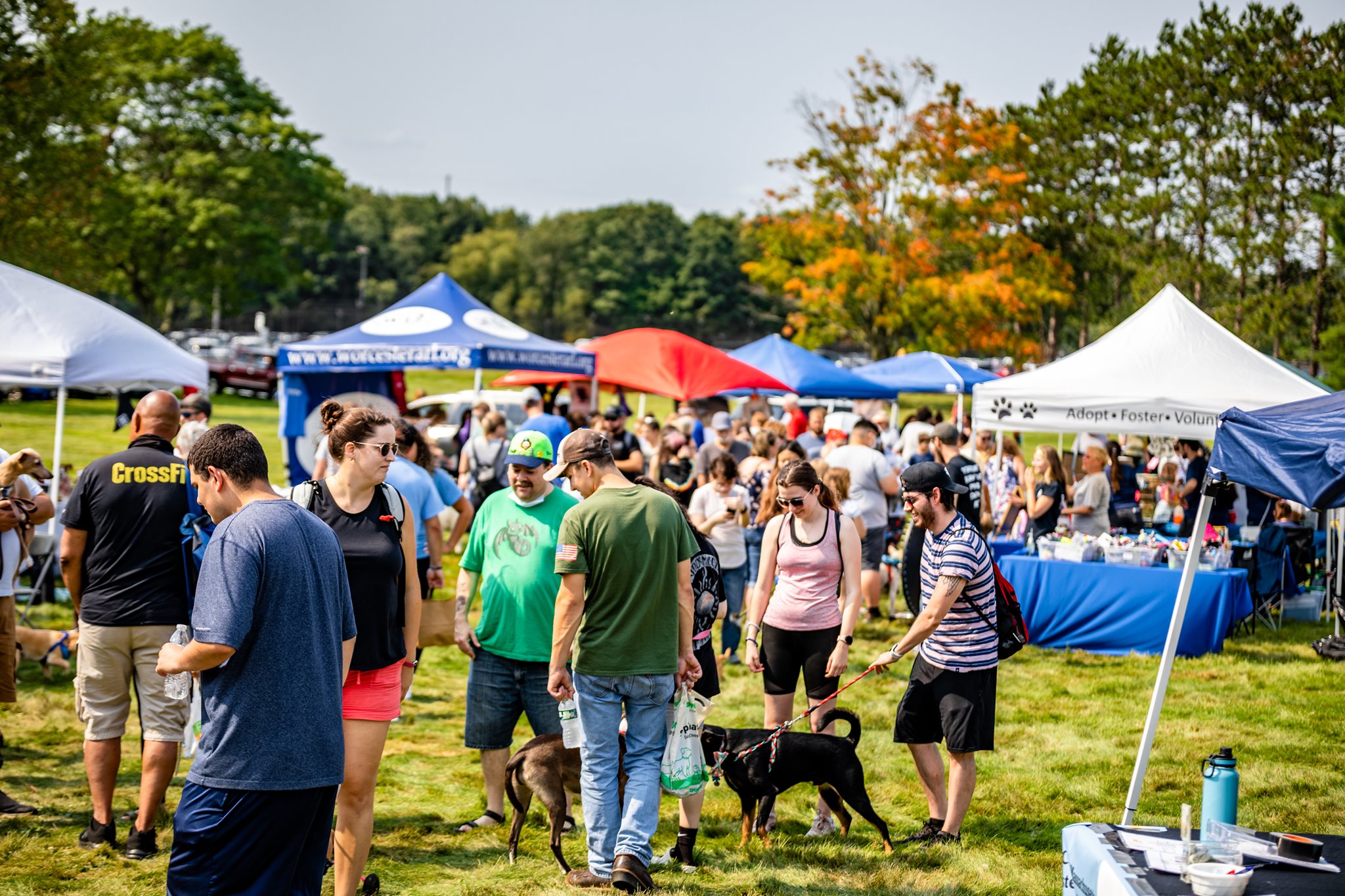 The crowd at a prior Pet Rock Festival. (Photo Credit: Charlene Arsenault)