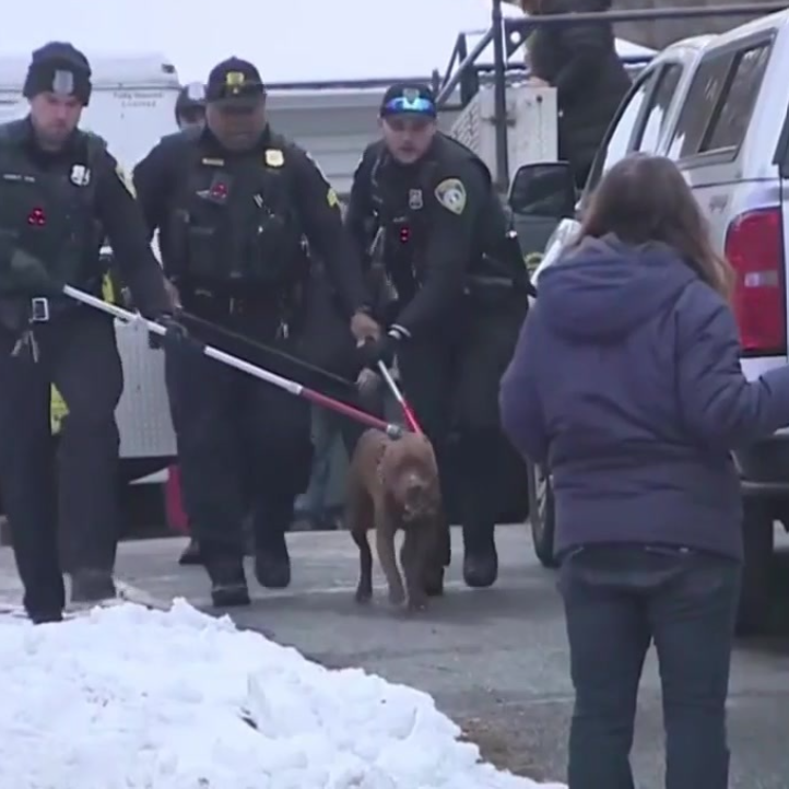 Leominster police officers use catch poles to restrain a pit bull outside a home as they guide it toward an animal control van. The incident occurred on Dec. 4, 2024. (Photo by WHDH)