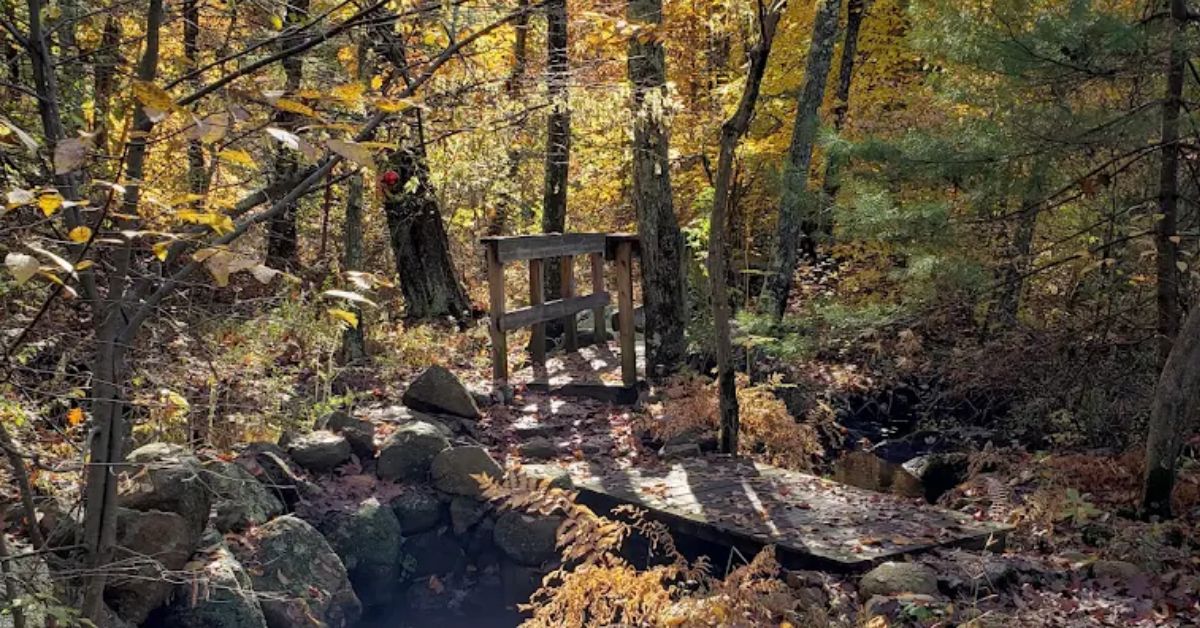 Untitled design 2025 07 24T103633.411