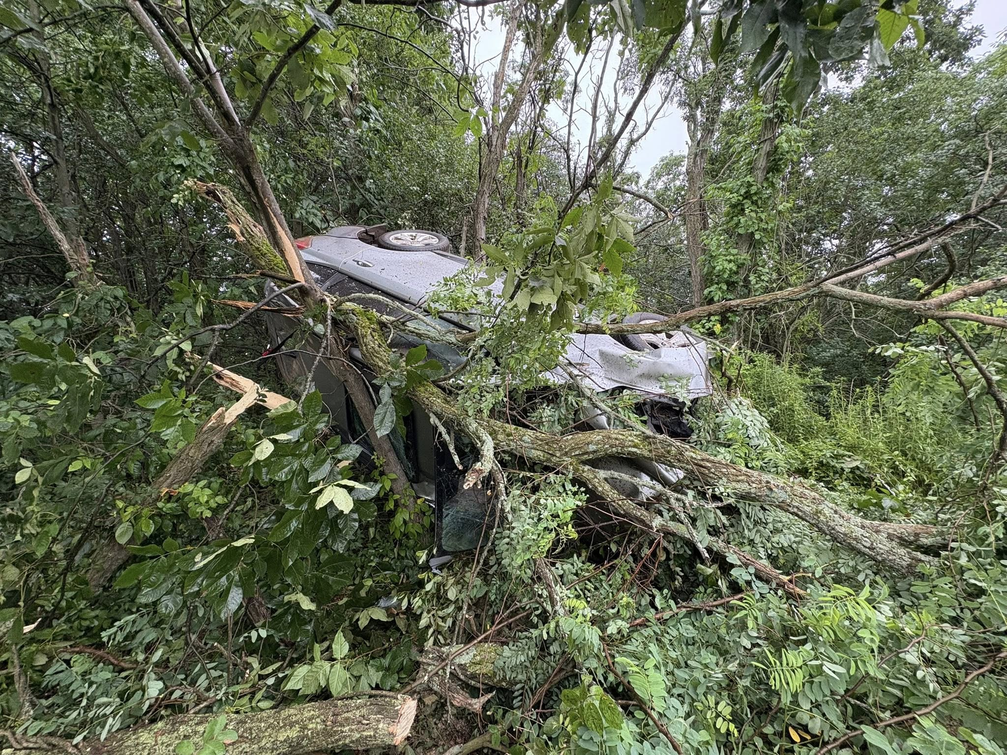 Driver rescued after rollover crash sends car deep into Newburyport woods off I-95