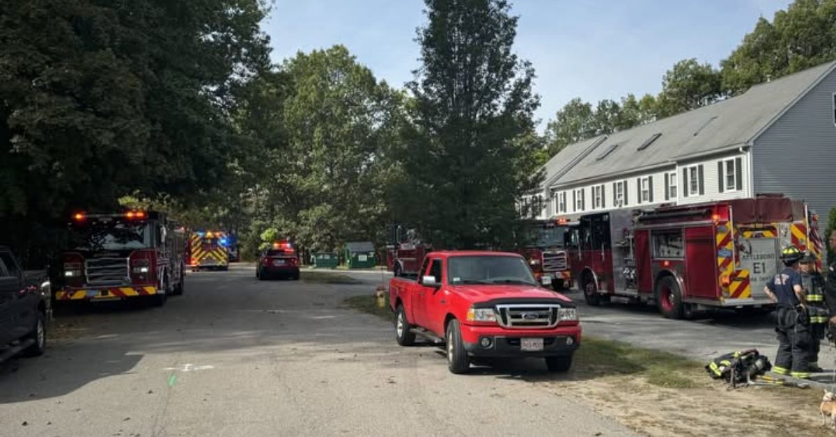 Untitled design 2025 09 30T144003.618