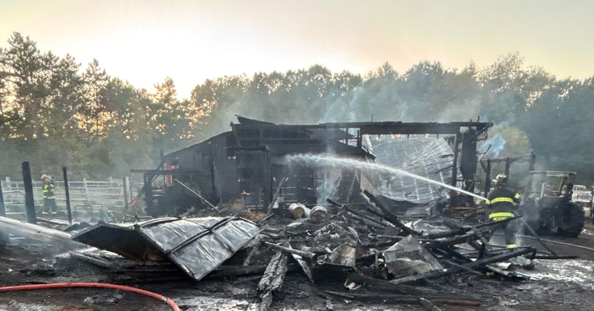 Untitled design 2025 10 11T151639.193