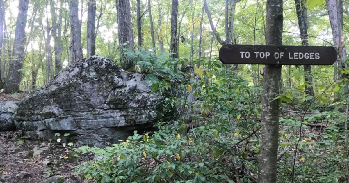 Untitled design 2025 12 02T123101.549