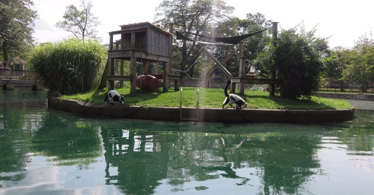 Paul Heroux: Capron Park Zoo should not be treated like a failing business