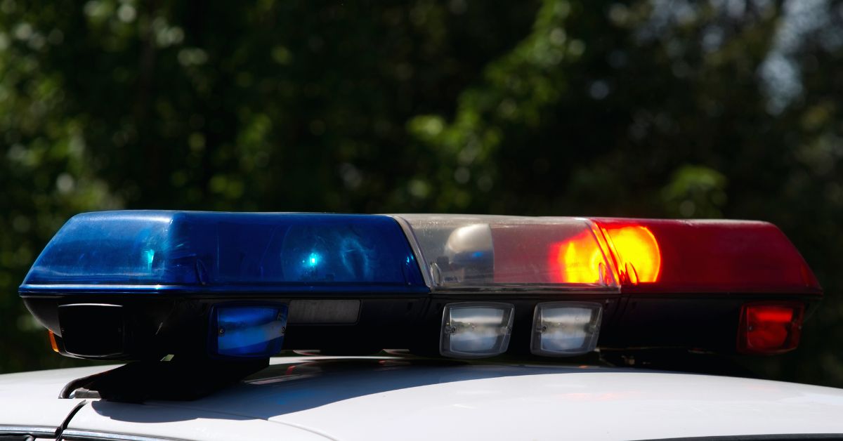 Driver dies after crashing into tree in Chelmsford