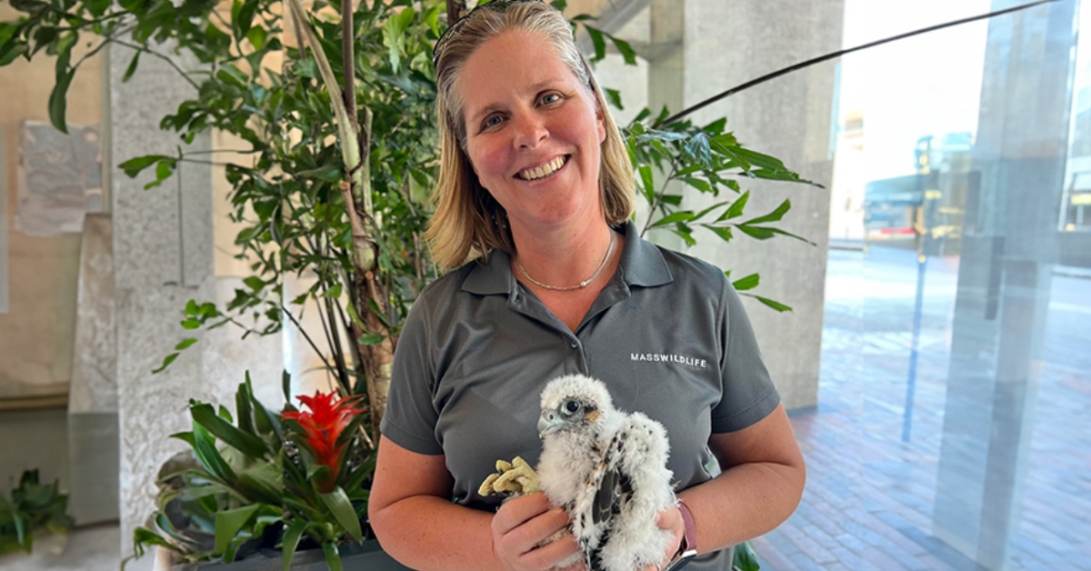 Dr. Eve Schlüter named first woman to lead MassWildlife