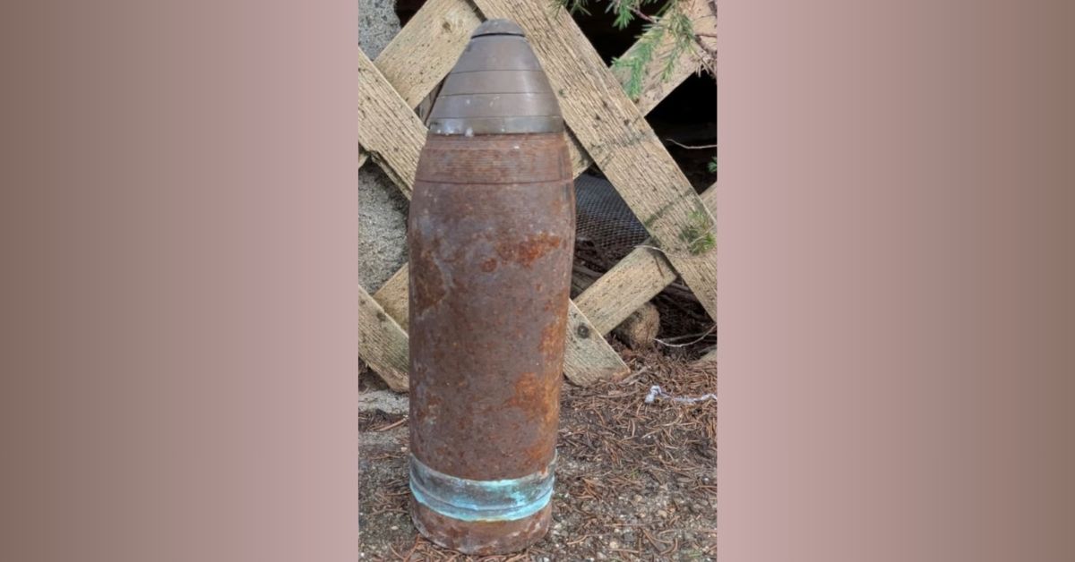 Maynard bomb feature image