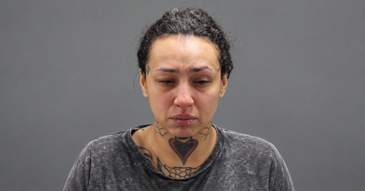 Southbridge officer bitten by dog while arresting woman after disturbance